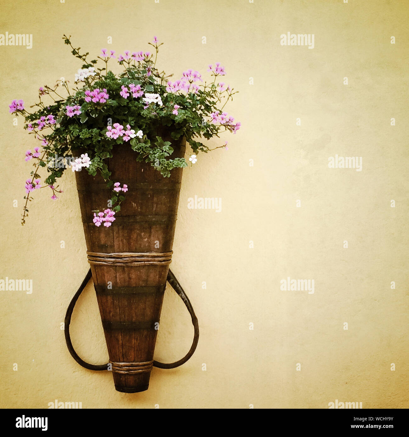 Small wall flowers hi-res stock photography and images - Alamy