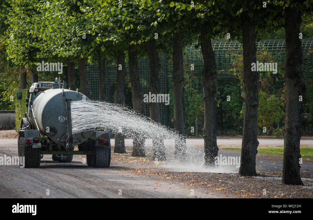 Schwetzingen, Germany. 28th Aug, 2019. Trees are watered with water in the Schwetzinger Schlossgarten. Rising temperatures and less precipitation have caused massive damage to the castle garden. Credit: Christoph Schmidt/dpa/Alamy Live News Stock Photo