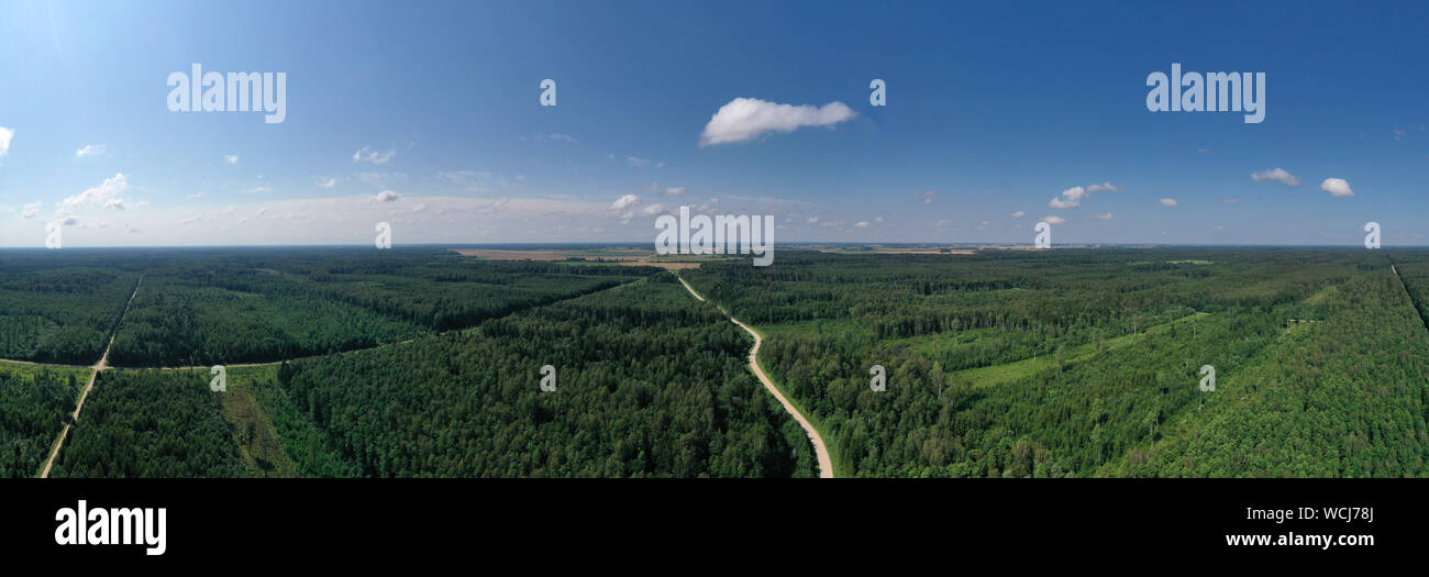 Summer forest landscape with gravel road, aerial view Stock Photo