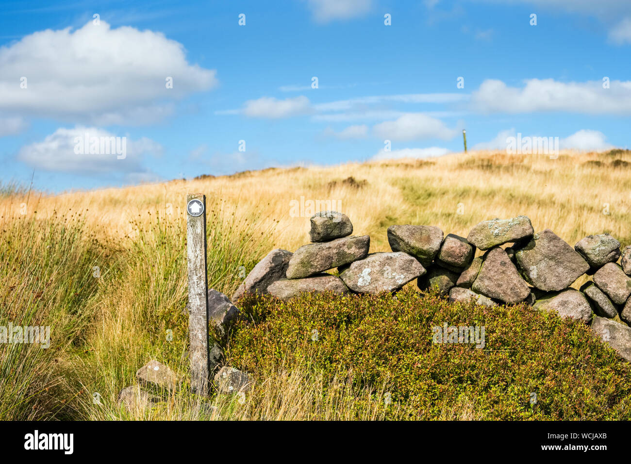 Country walk on the moors of the Staffordshire Moorlands in the Peak