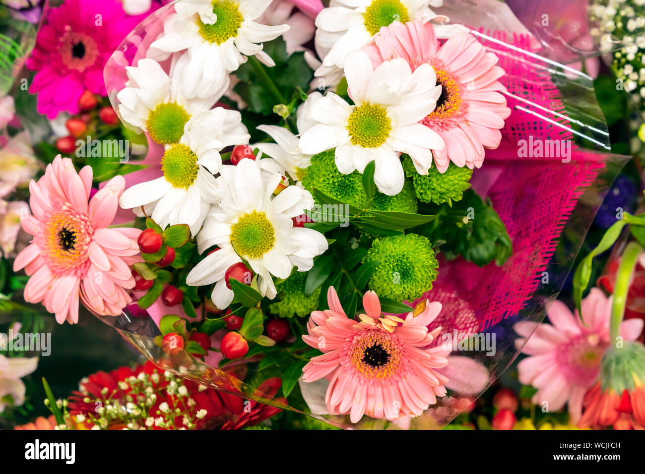 Flower composition from different types of flowers Stock Photo - Alamy