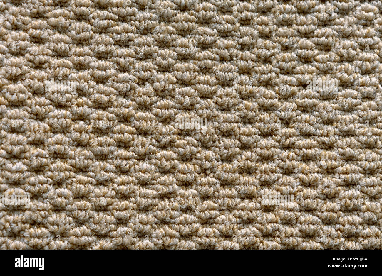 Texture of a beige carpet with a large nap Stock Photo Alamy