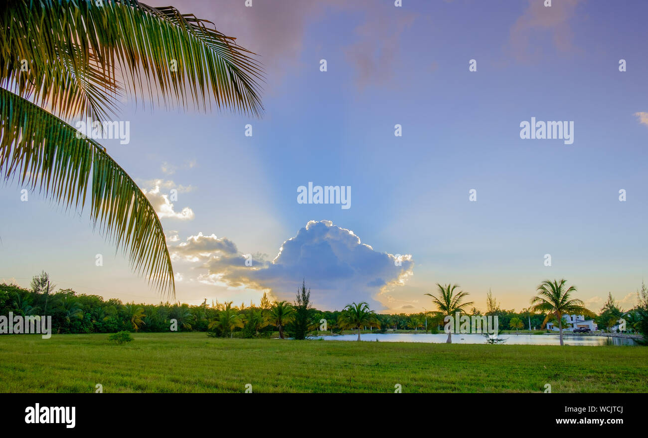 Bay tree estates hires stock photography and images Alamy