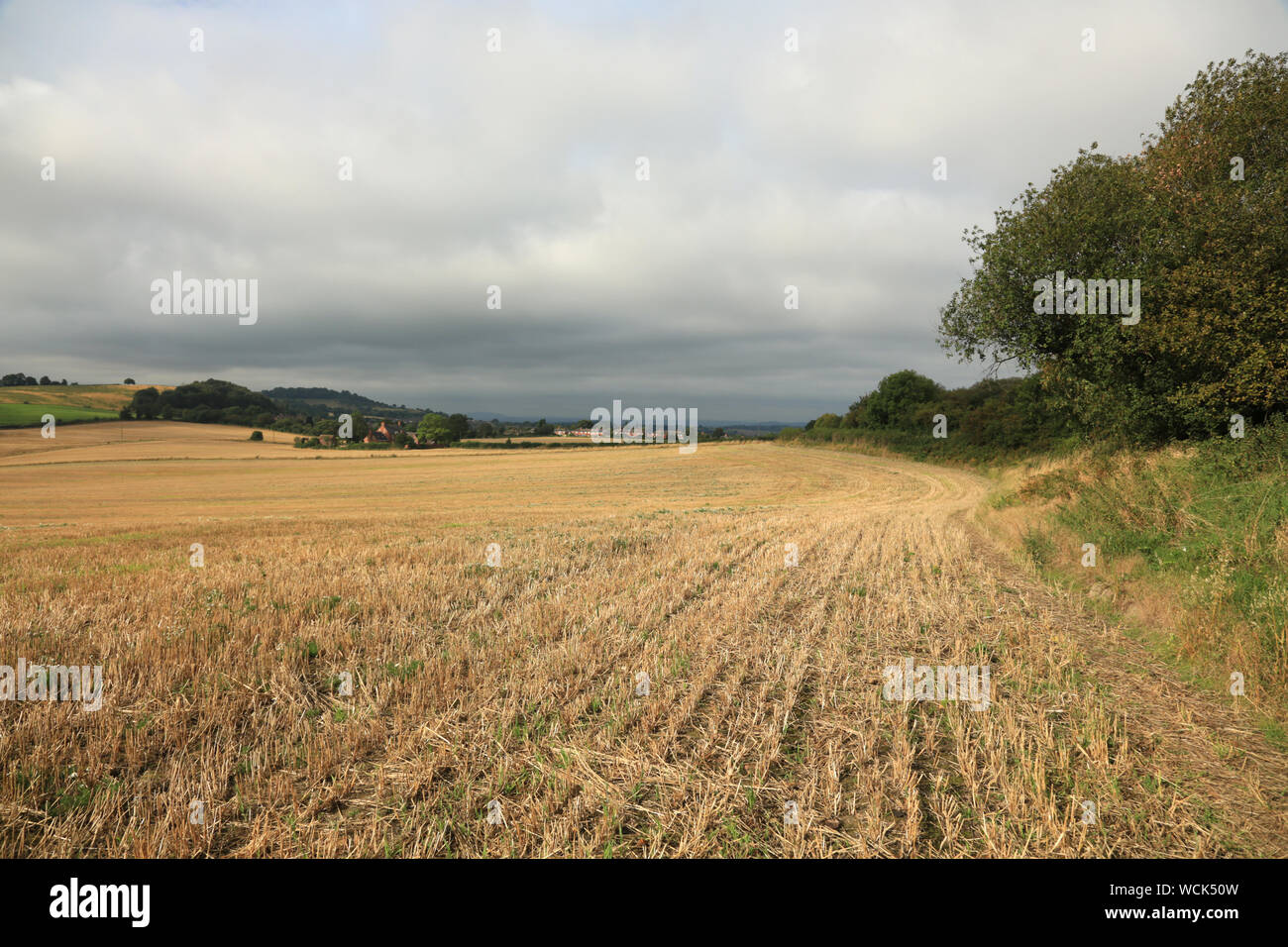 Green belt farmland under threat of a housing development at Wollescote, Stourbridge, England, UK. Stock Photo