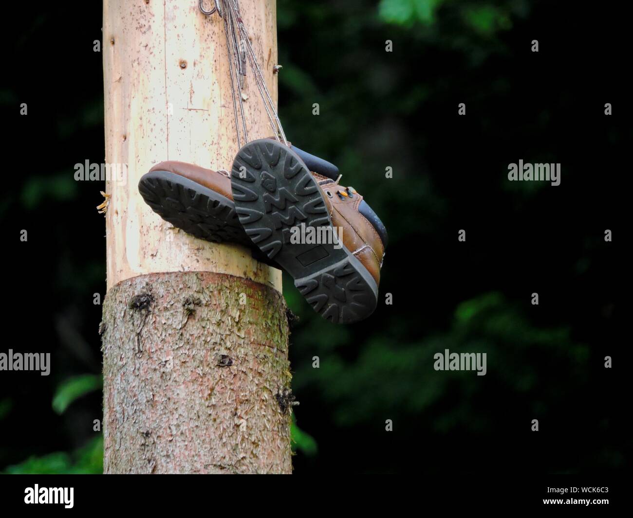 Shoes hanging from tree hires stock photography and images Alamy