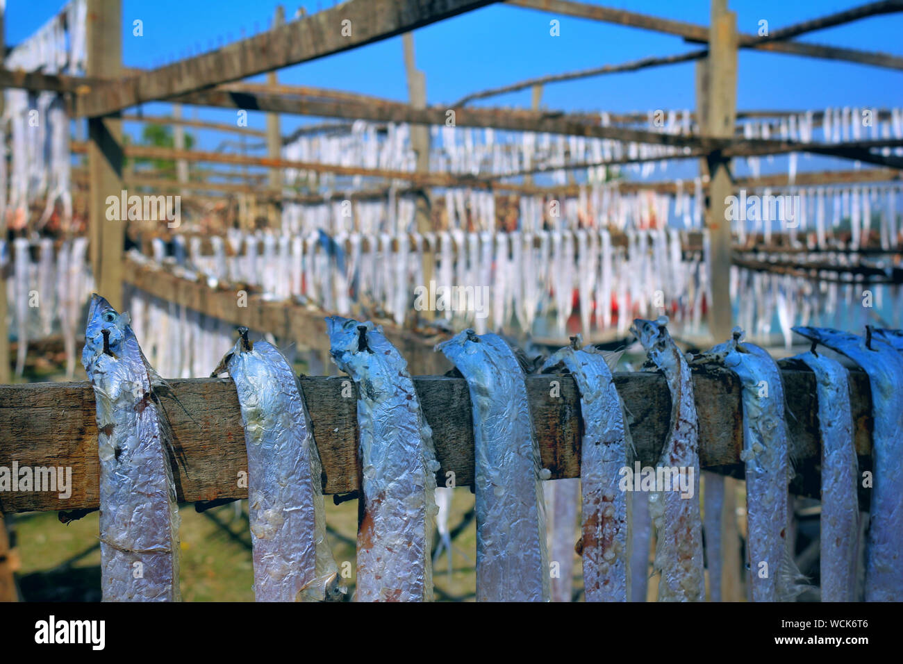 Bangladesh. 07th Jan, 2019. Dry fish industry of Bangladesh is an ...