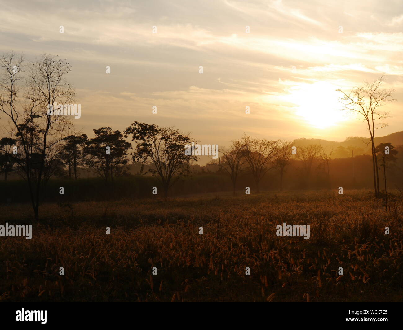 Uncultivated land hires stock photography and images Alamy