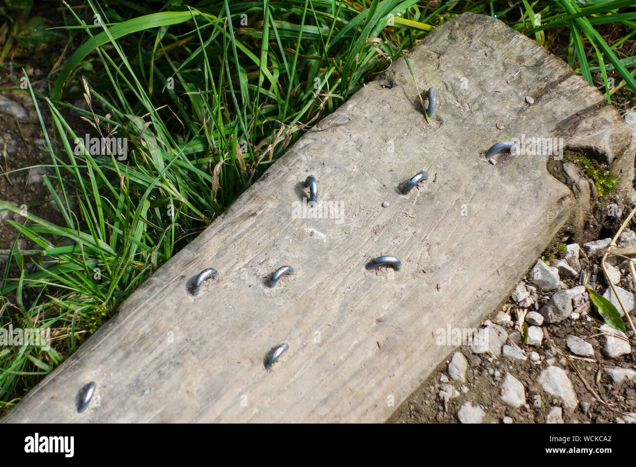 Staples nailed into a wooden board to aid grip on a stile, Staffordshire, England, UK Stock Photo