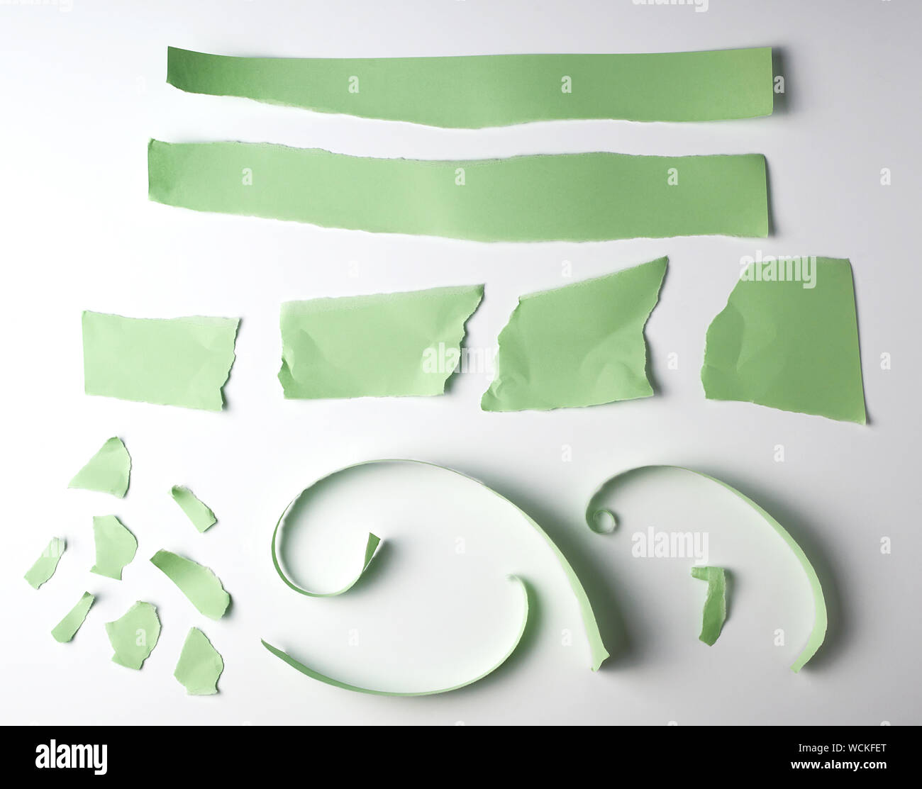 various torn strips of green paper on a white background, flat lay Stock Photo