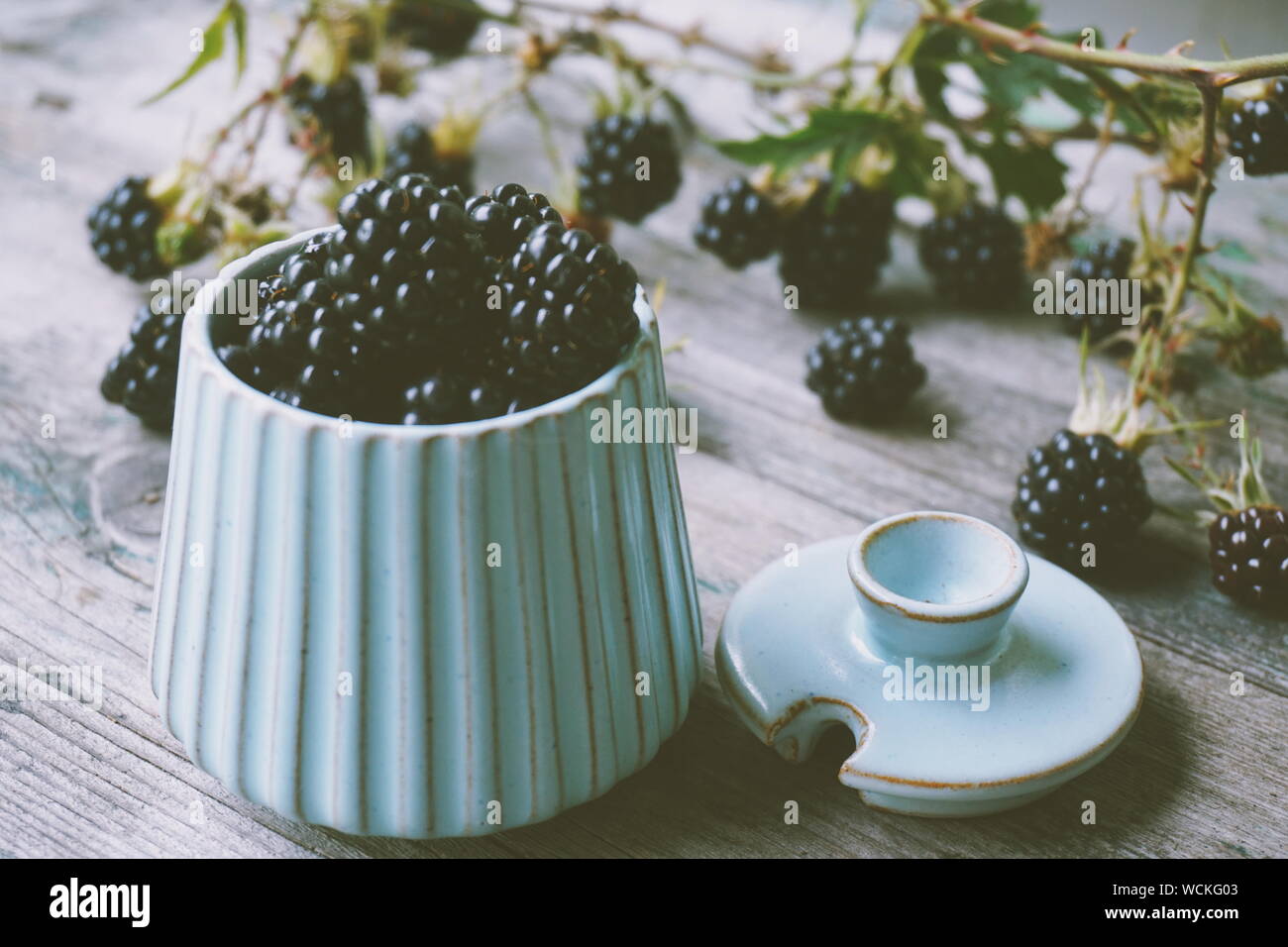 Container of blackberries hi-res stock photography and images - Alamy