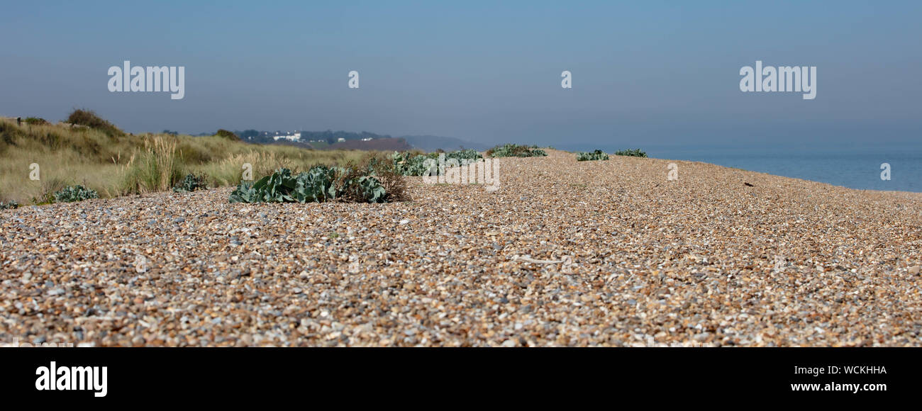 The Beach in Summer at Dunwich Stock Photo