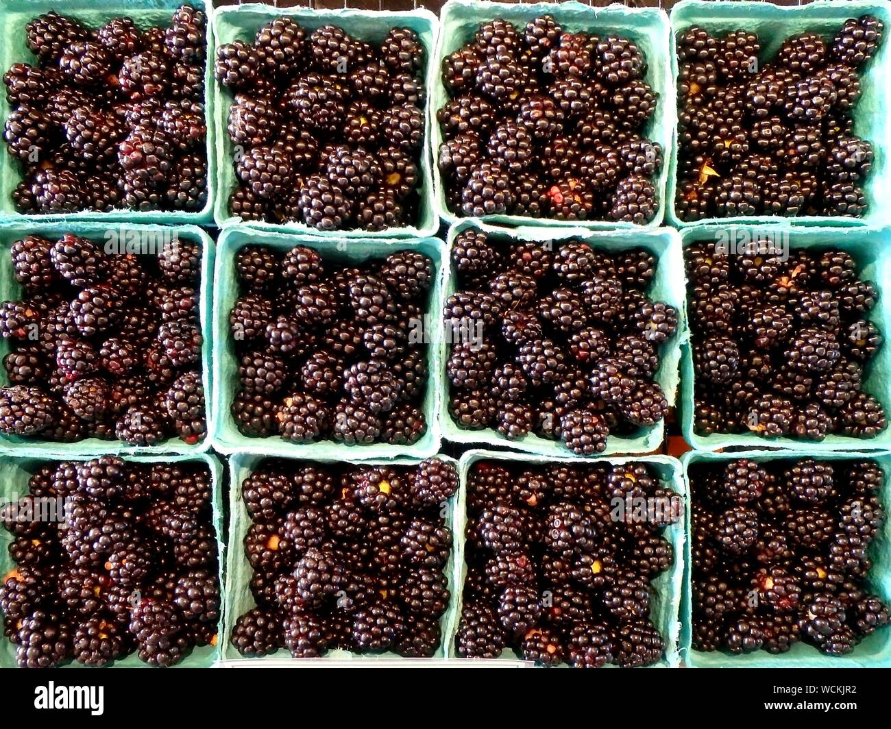 Container of blackberries hi-res stock photography and images - Alamy