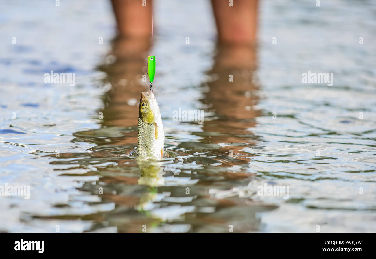 13 fishing kalon radioactive r 2.0 spinning reel 5.2:1 RP Pickle strength zinc alloy Z Size:0/5 Fishing Rod Holder for Roza Hare Bomb