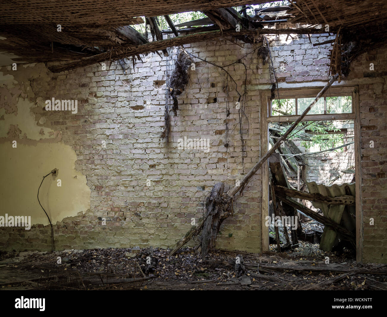Abandoned looted grocery store in Zalissya village in Chernobyl Exclusion Zone, Ukraine Stock Photo