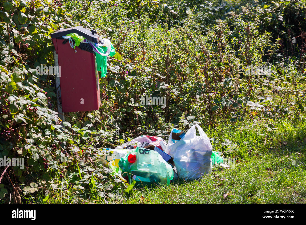 Laziness common hi-res stock photography and images - Alamy