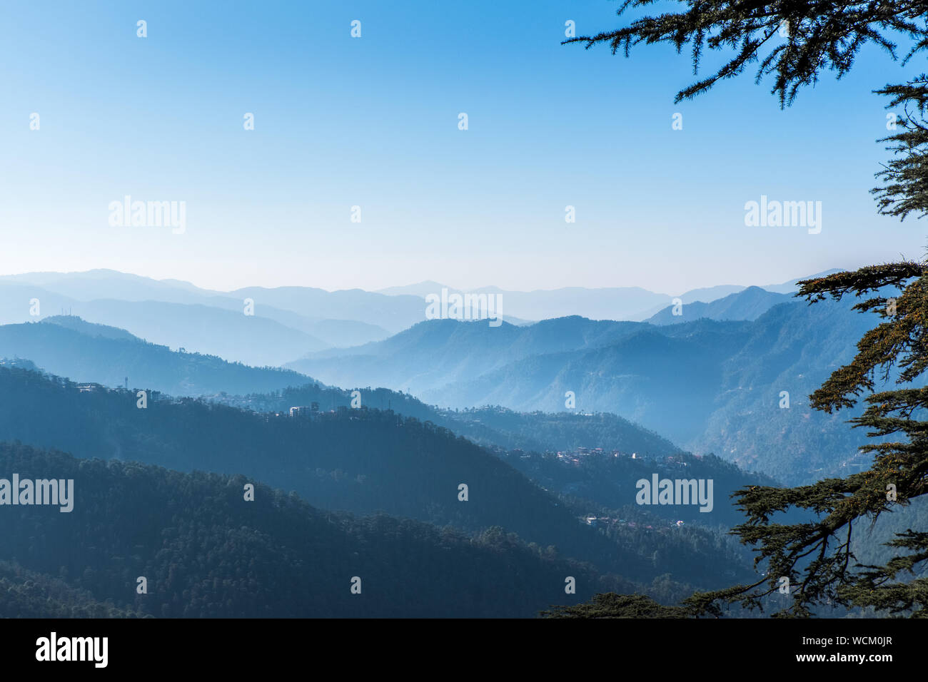 Misty, forested  hills near Shimla in the hills of northern India Stock Photo