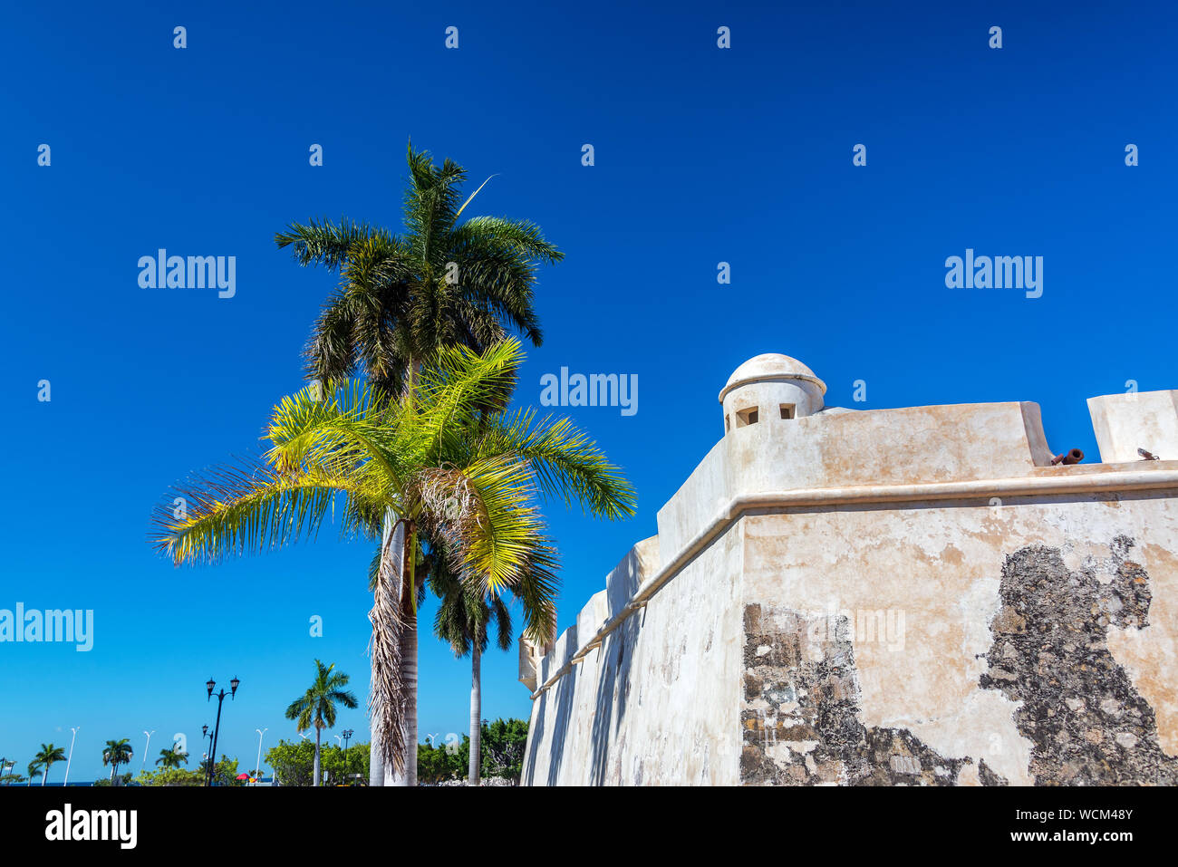 Low Angle View Of Colonial Defensive Wall By Palm Tree Against Clear Blue Sky During Sunny Day Stock Photo