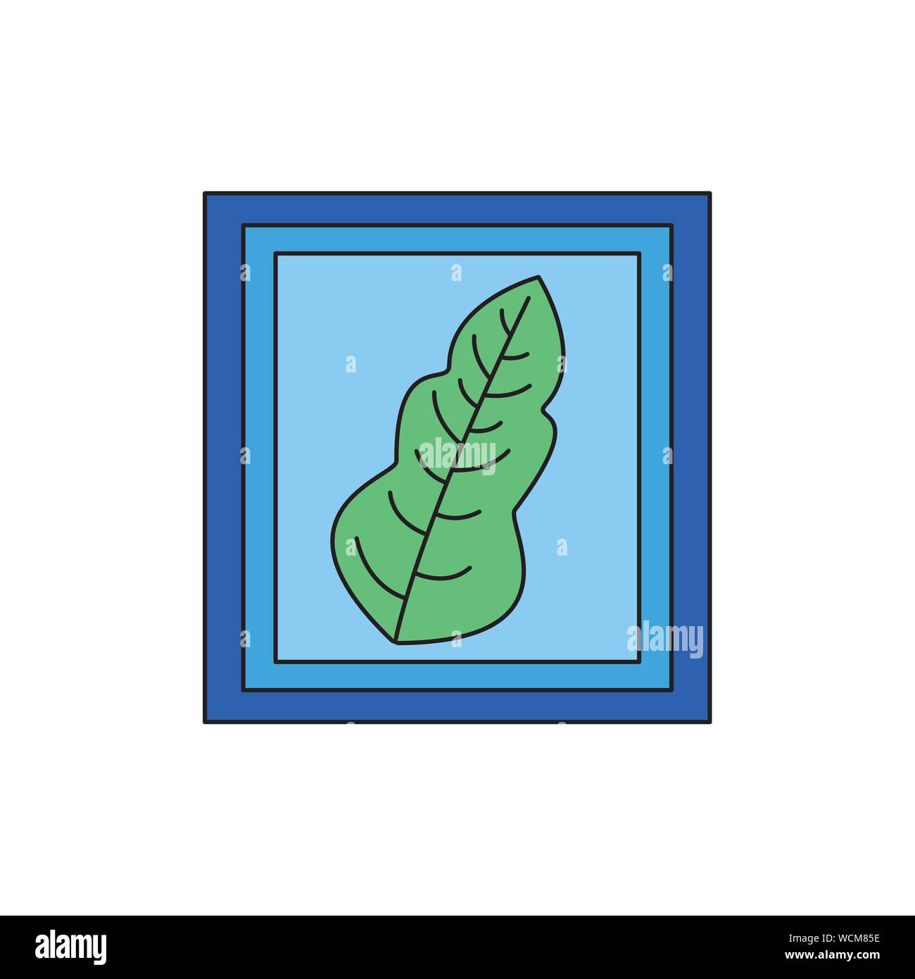 Isolated leaf inside frame design Stock Vector Image & Art - Alamy