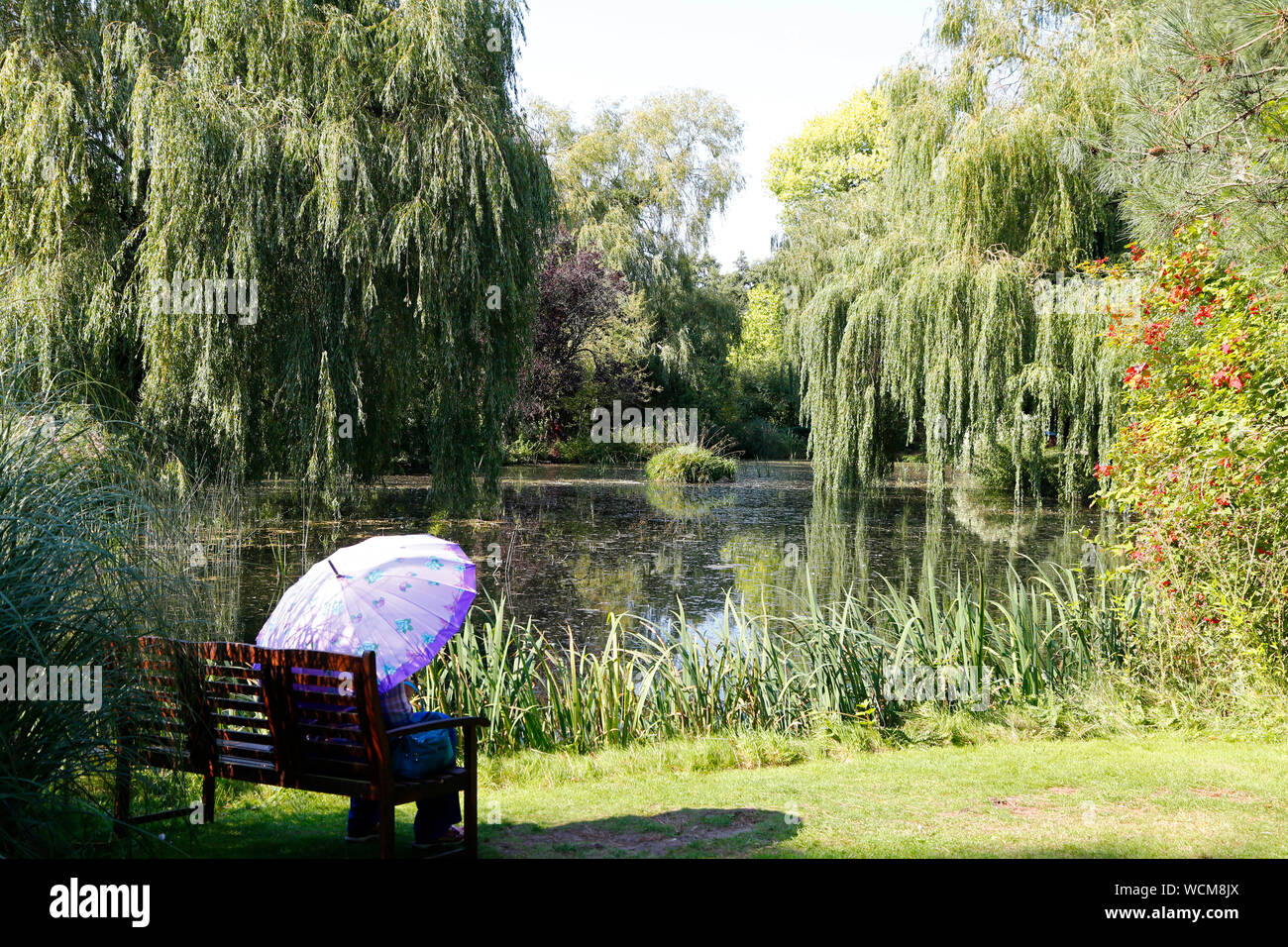 Goodestone Water Gardens , Norfolk Stock Photo Alamy