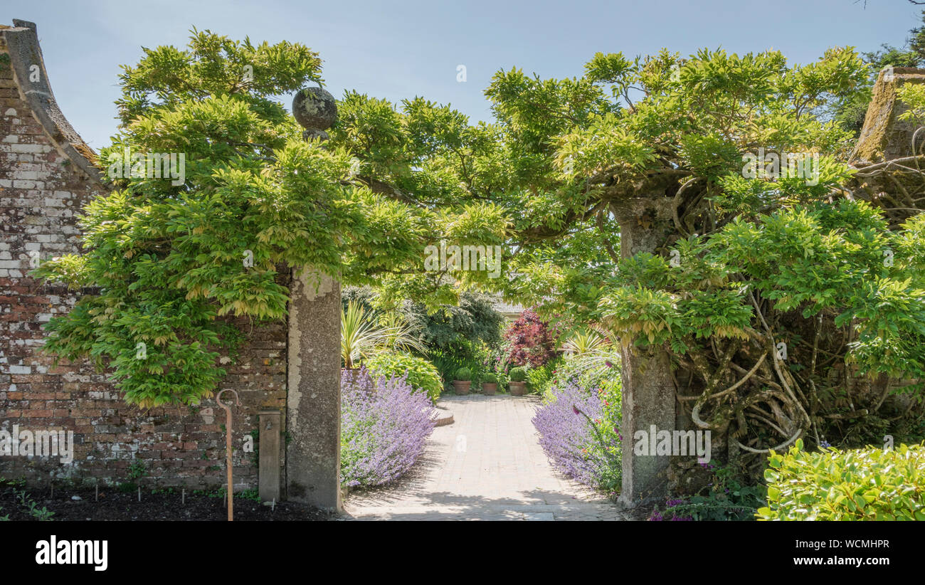 Summer at the Lost Gardens of Heligan, Cornwall Stock Photo