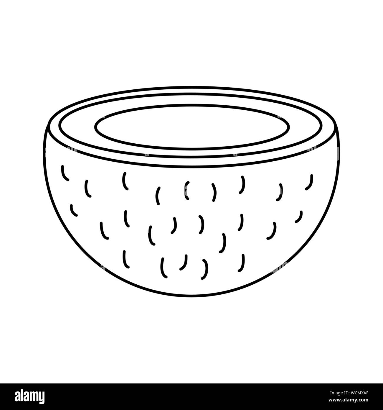 Isolated coconut fruit vector design Stock Vector Image & Art Alamy