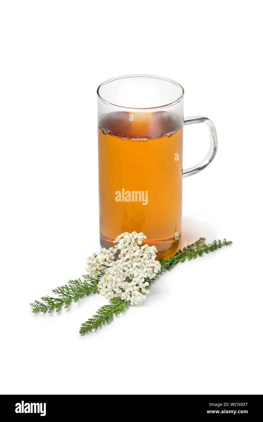 Fresh Common yarrow flowers and a cup of tea isolated on white background Stock Photo