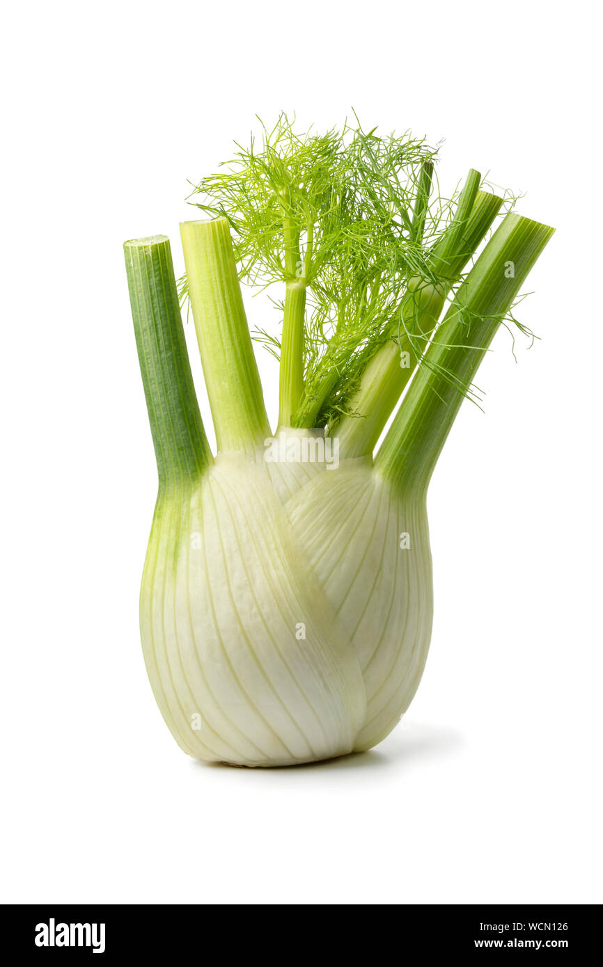 Fresh raw organic fennel bulb isolated on white background Stock Photo