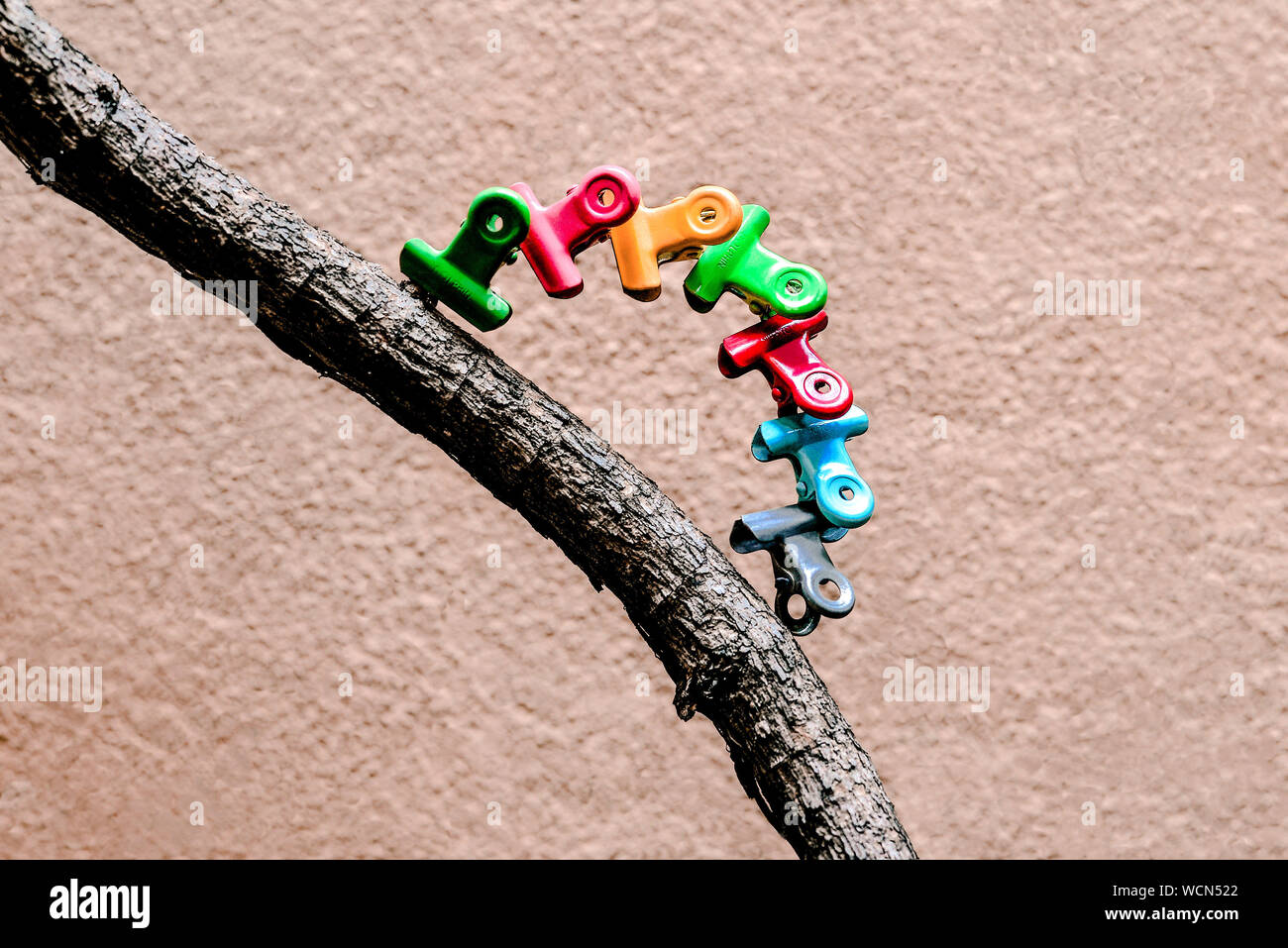 Low Angle View Of Paper Clips Arranged On Plant Stem Against Wall Stock Photo