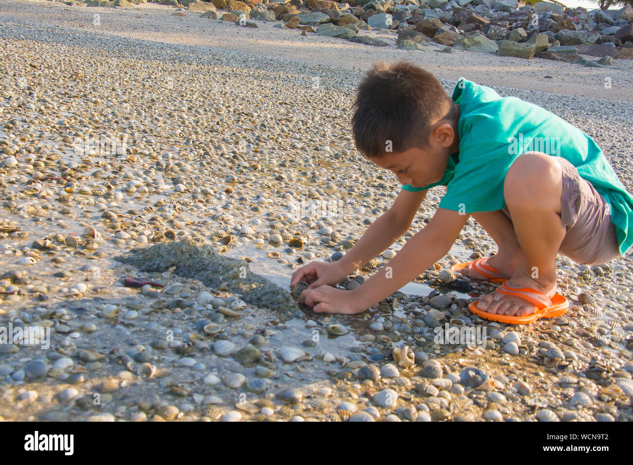 Shot Of Boy Observing On Beach Stock Photo