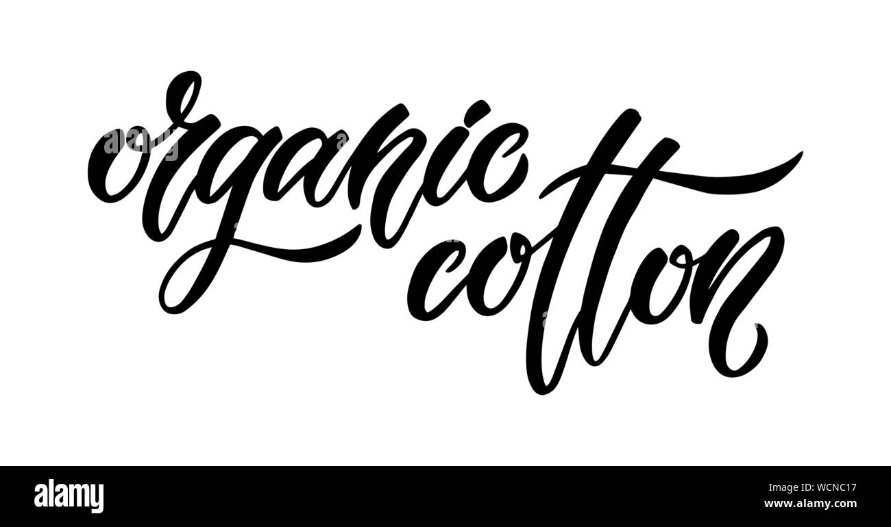 Organic cotton. Minimalistic brush hand lettering design. Isolated black and white script text for fashion industry. Stock Vector