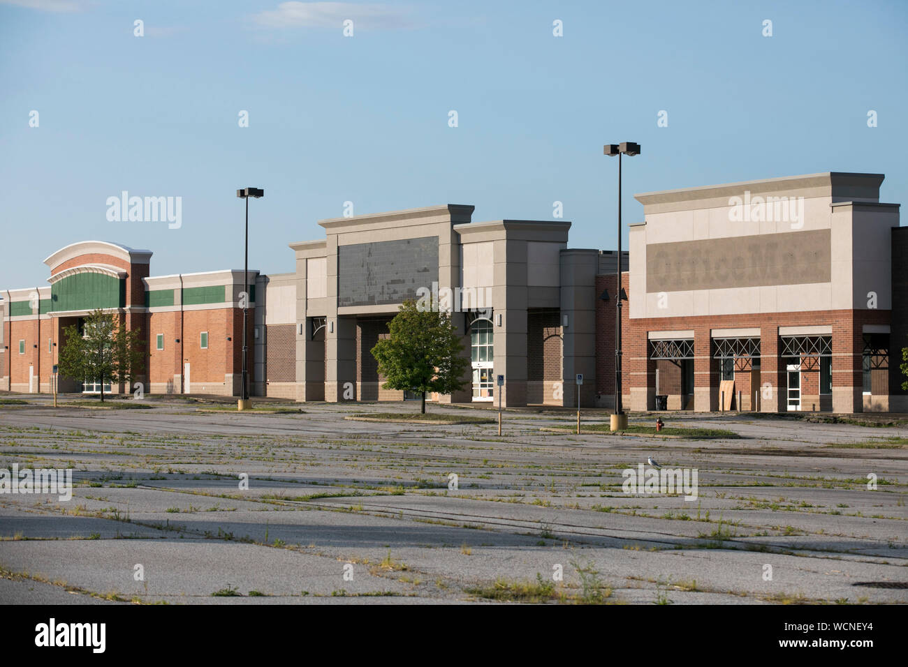 Garfield logo hires stock photography and images Alamy