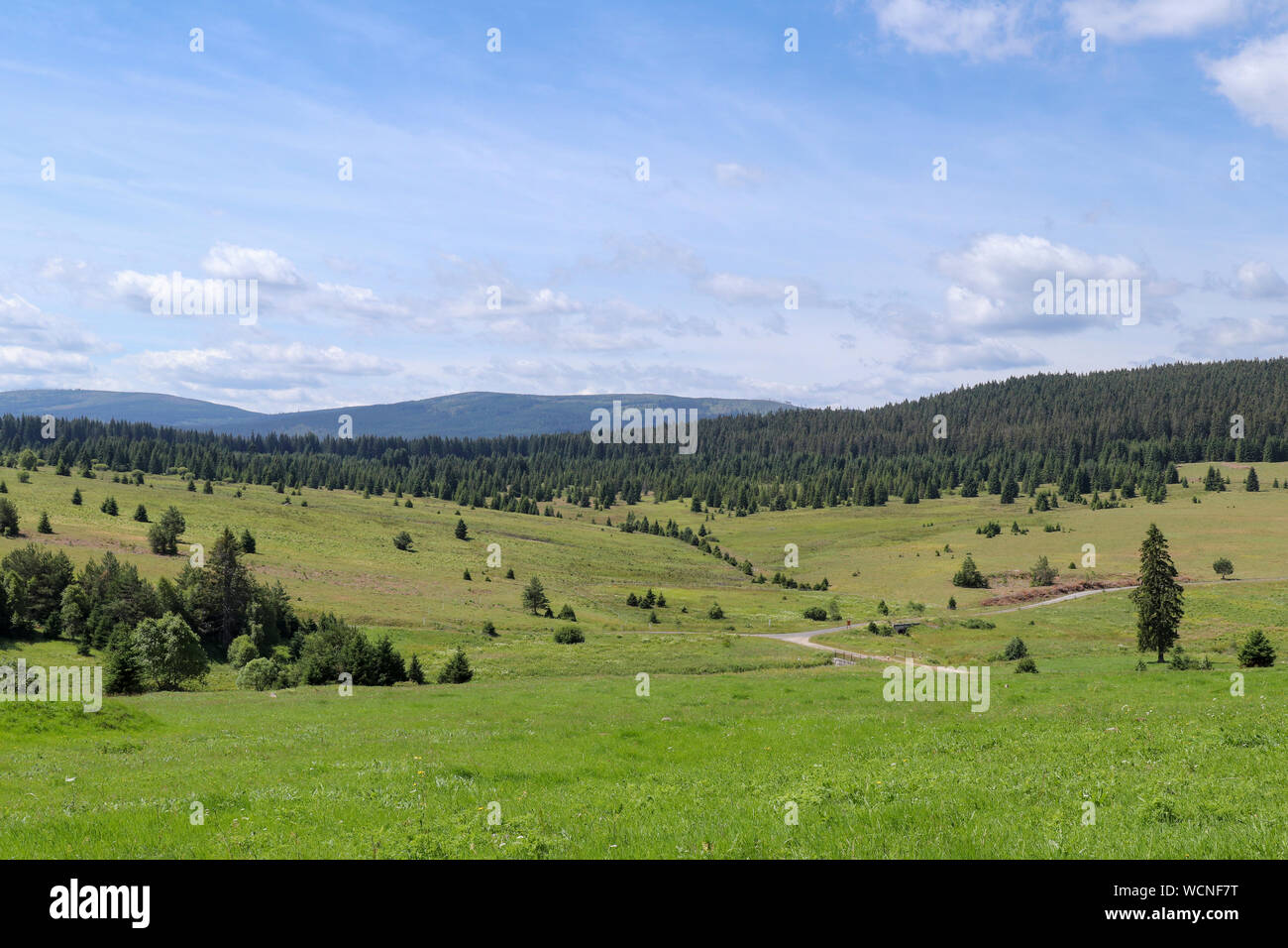 Landscape view in the Sumava National Park - Bohemian Forest - former village Zhuri Stock Photo