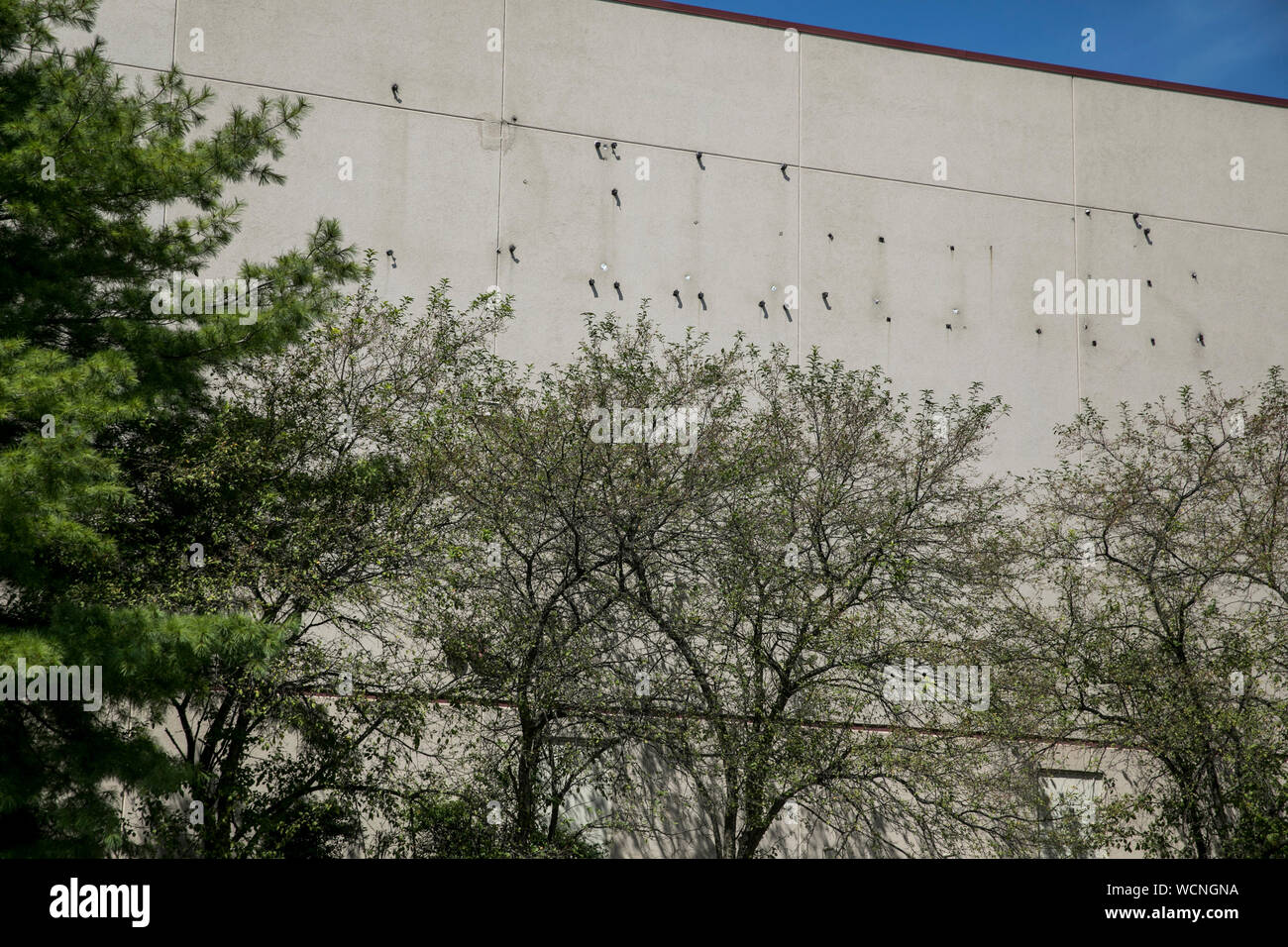 Dillard's dillards store logo hires stock photography and images Alamy