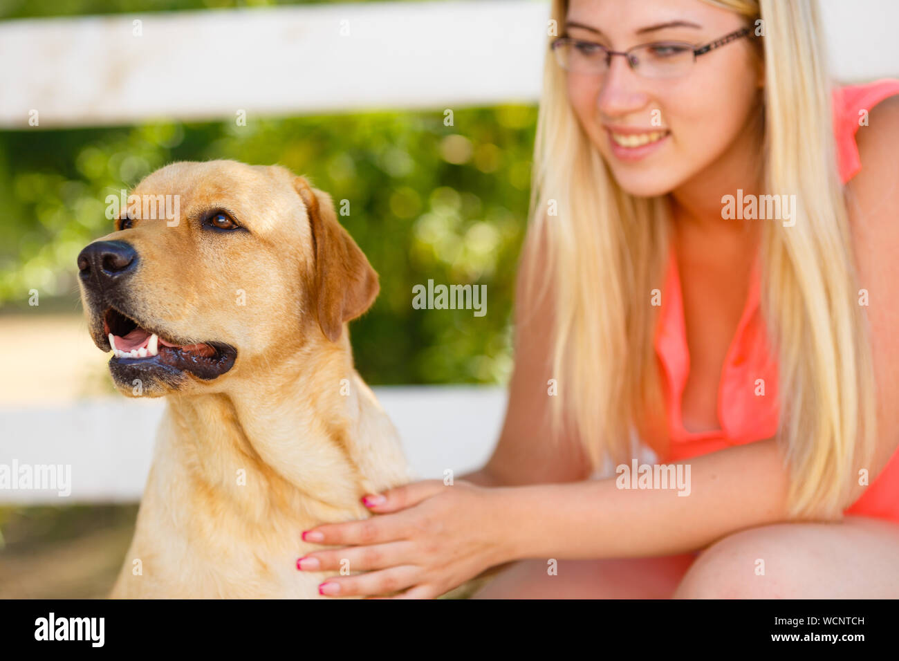 portrait of Beautiful young girl with her dog labrador retriever ...