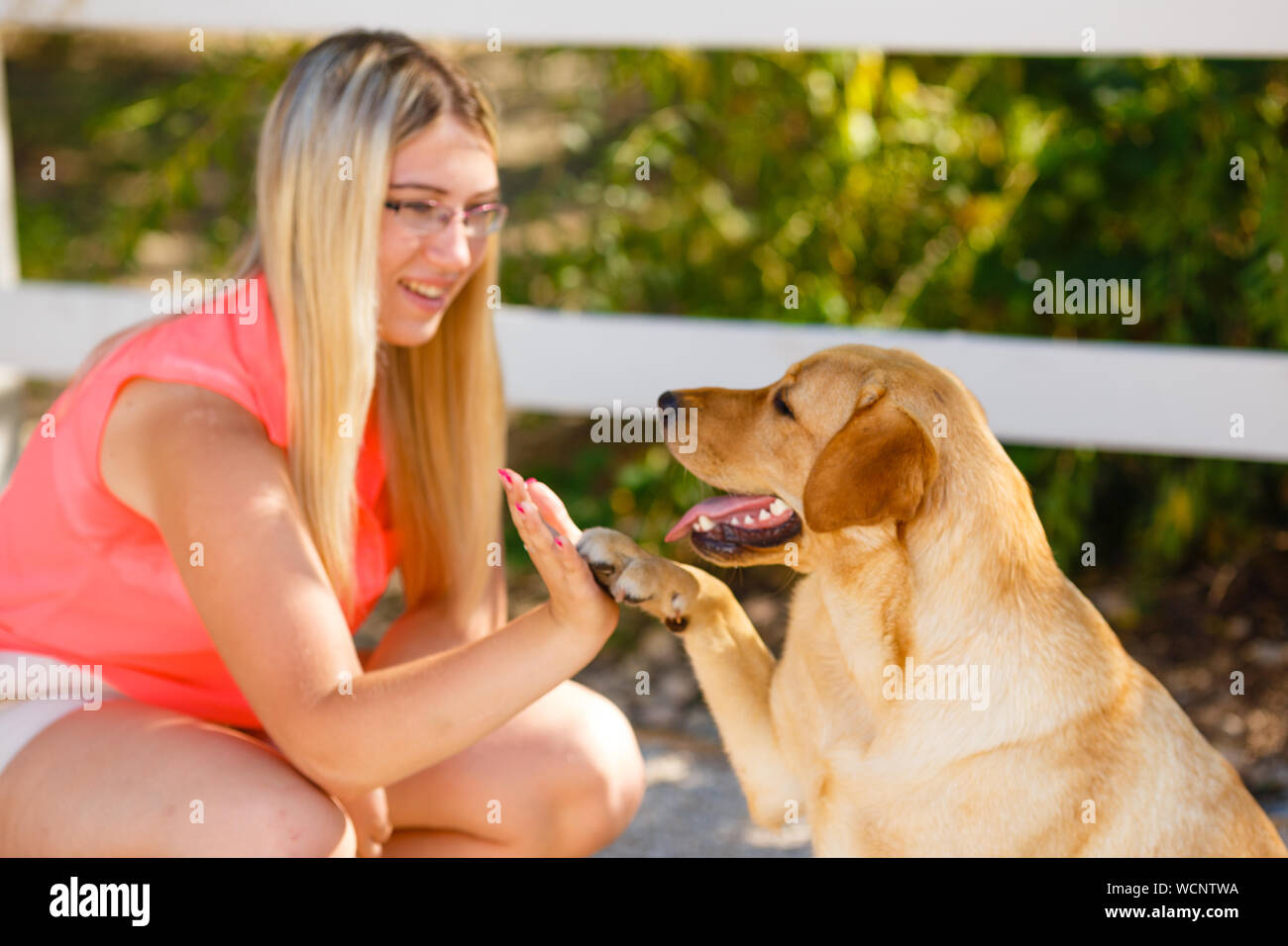 portrait of Beautiful young girl with her dog labrador retriever ...