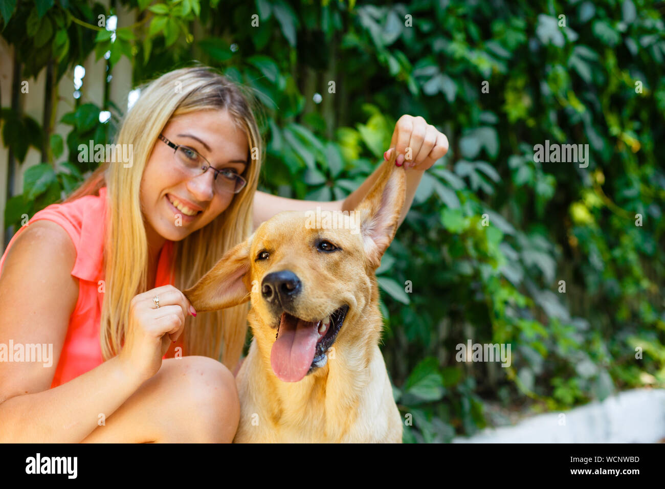 portrait of Beautiful young girl with her dog labrador retriever ...