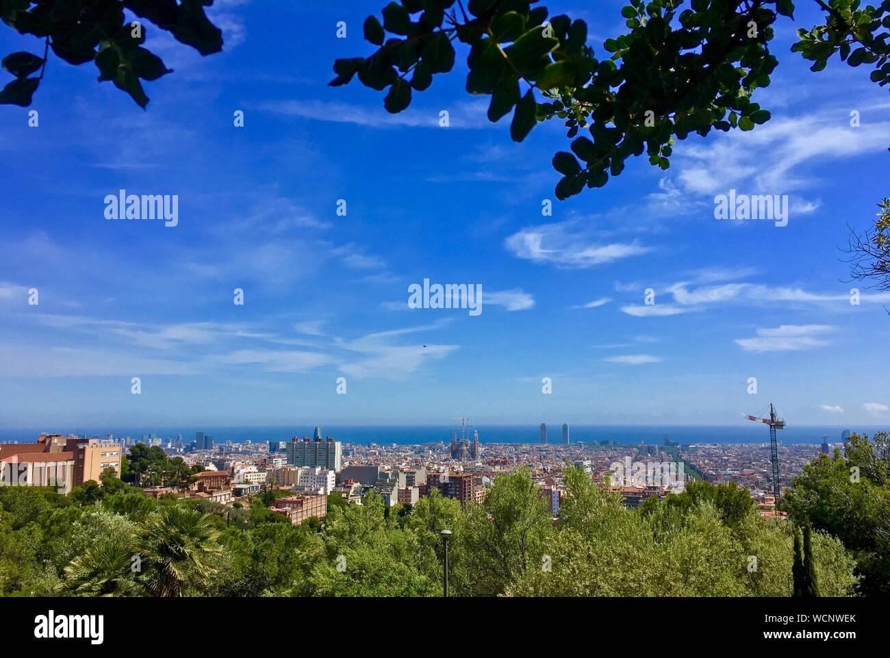 Blue sky trees and skyline hi-res stock photography and images - Alamy