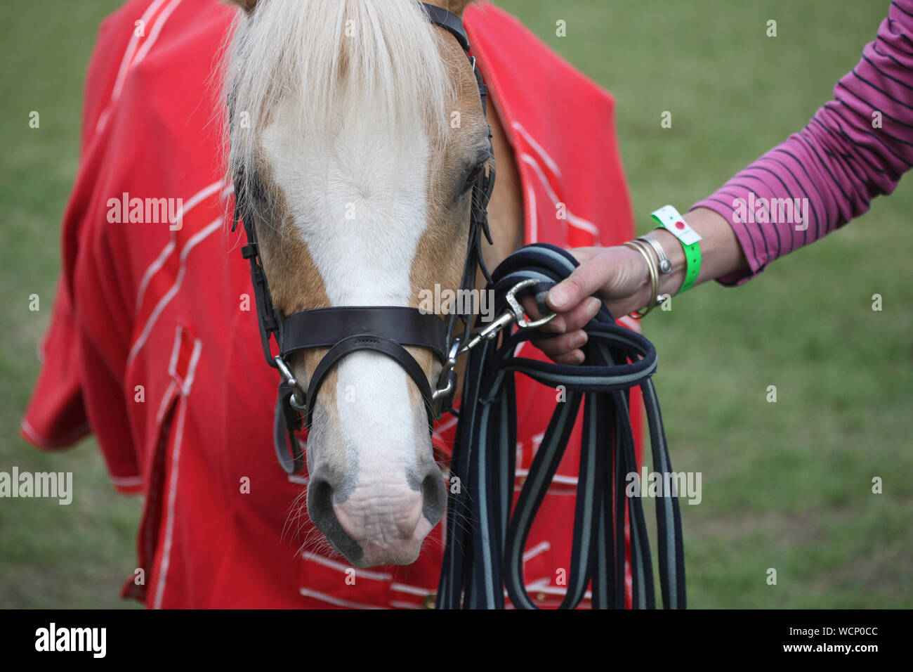 Red Saddle Blanket High Resolution Stock Photography and Images - Alamy