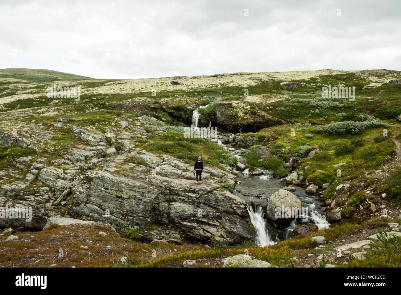 Rondane National Park, Norway, Europe Stock Photo
