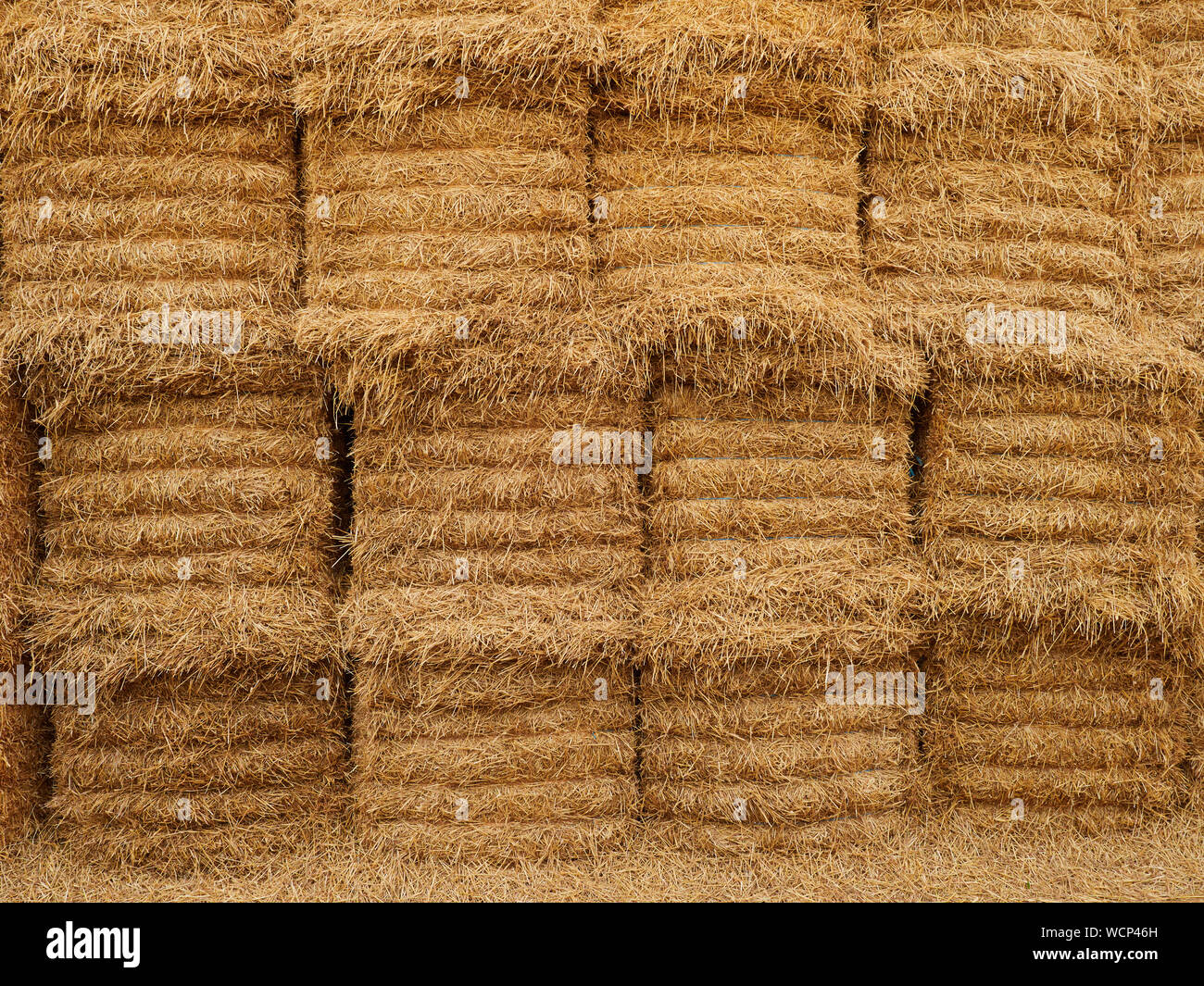 A side on view of neatly stacked large heston bales of barley straw Stock Photo Alamy