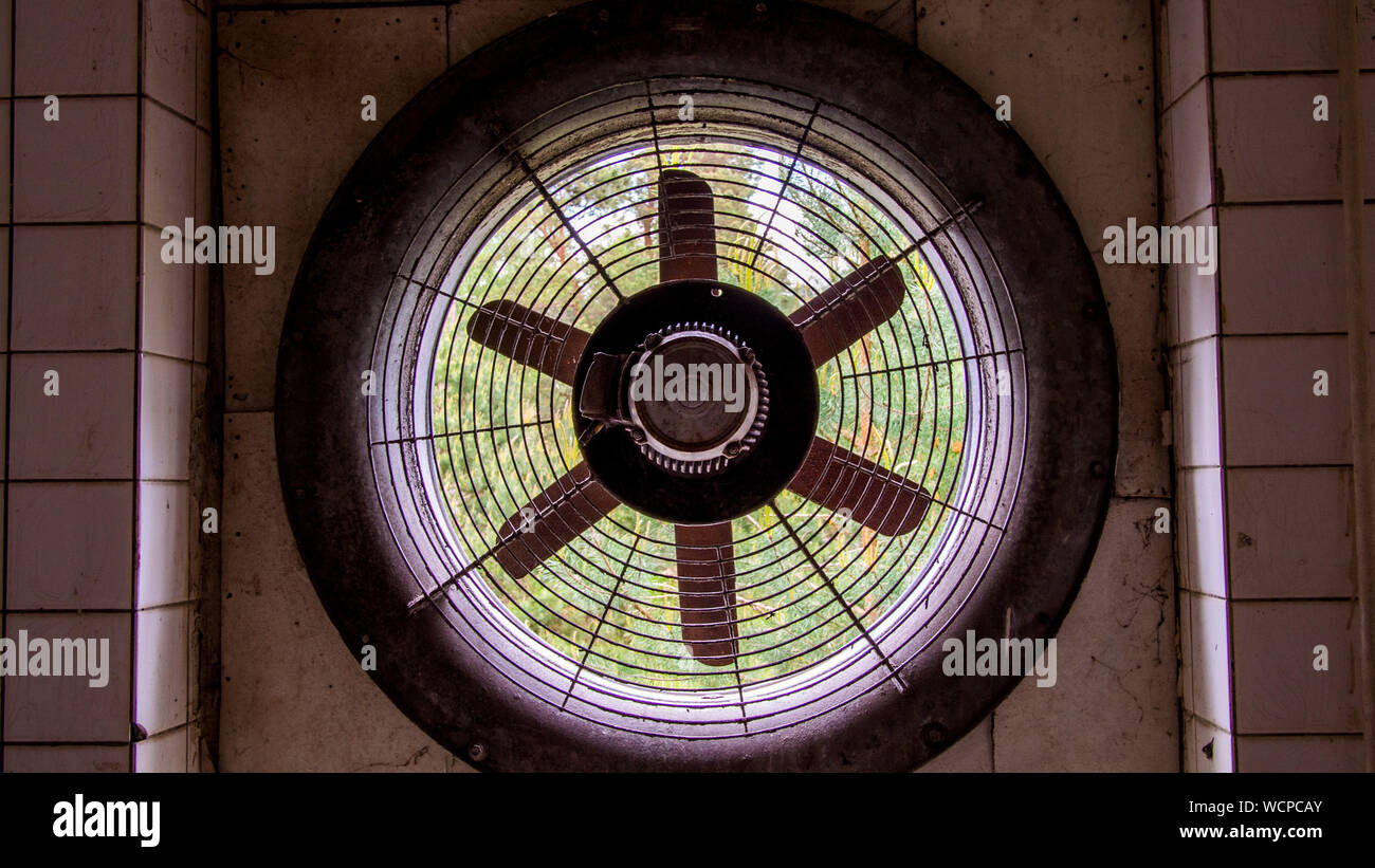 Ceiling window pattern hi-res stock photography and images - Alamy