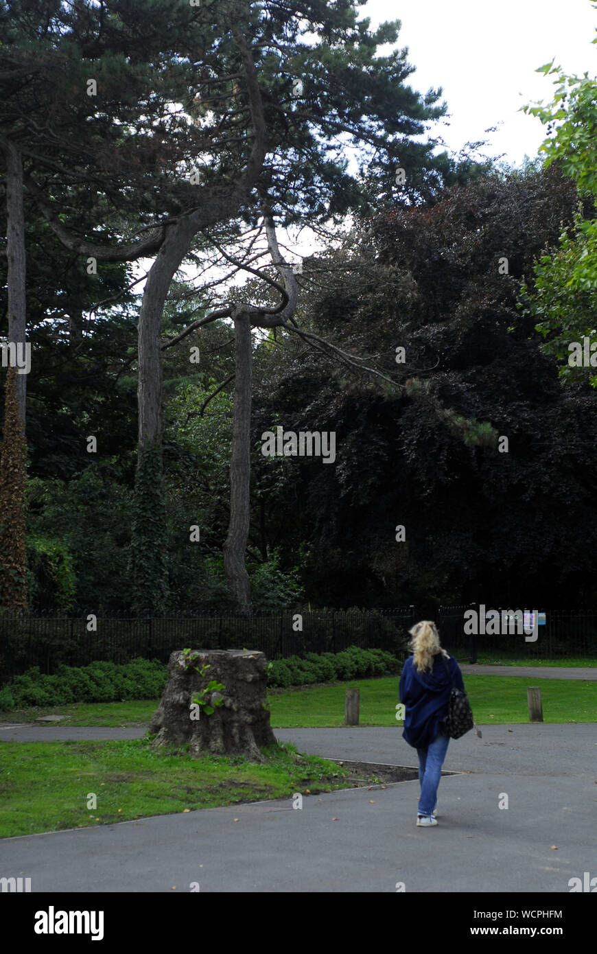 Woman walking trough Peckham Rye Park in Spring Time Stock Photo