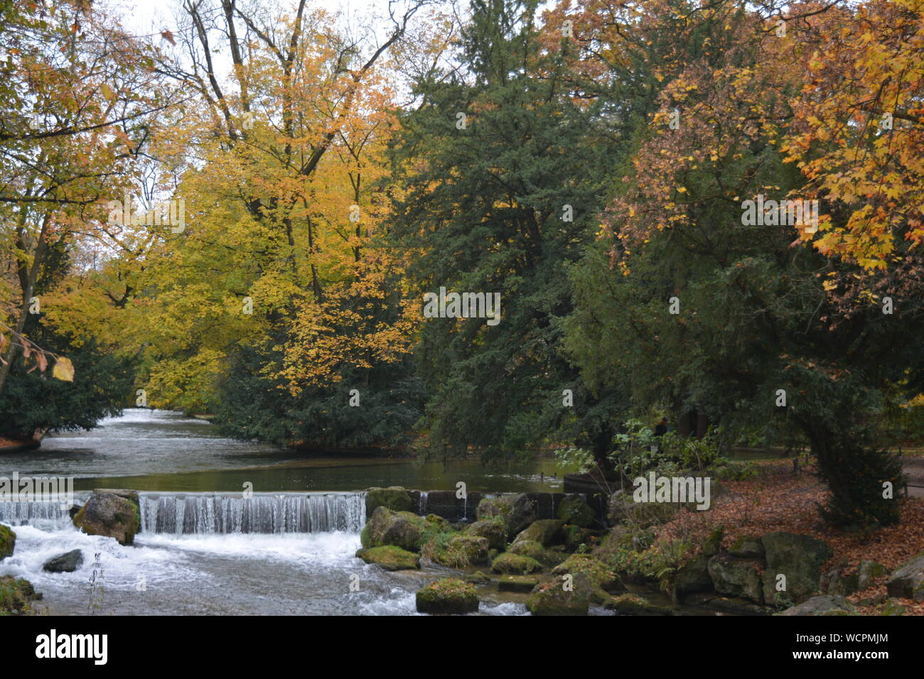 English Garden Munich Germany Munchen Englischer Garten Deutschland Stock Photo Alamy