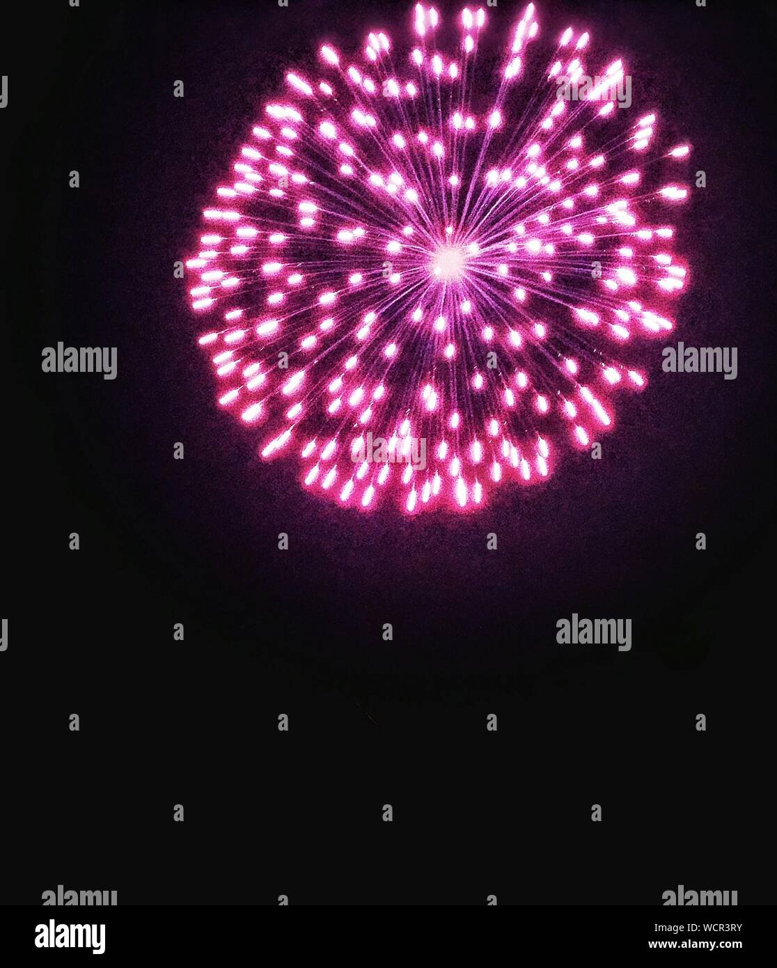 Pink Color Firework Display At Night Stock Photo