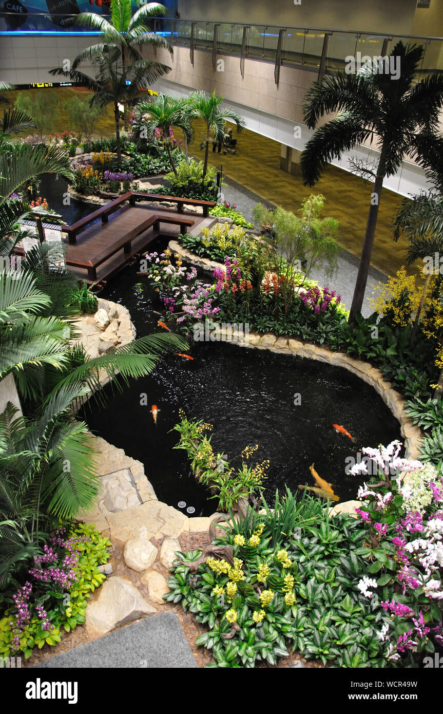 Orchids display changi airport hi-res stock photography and images - Alamy