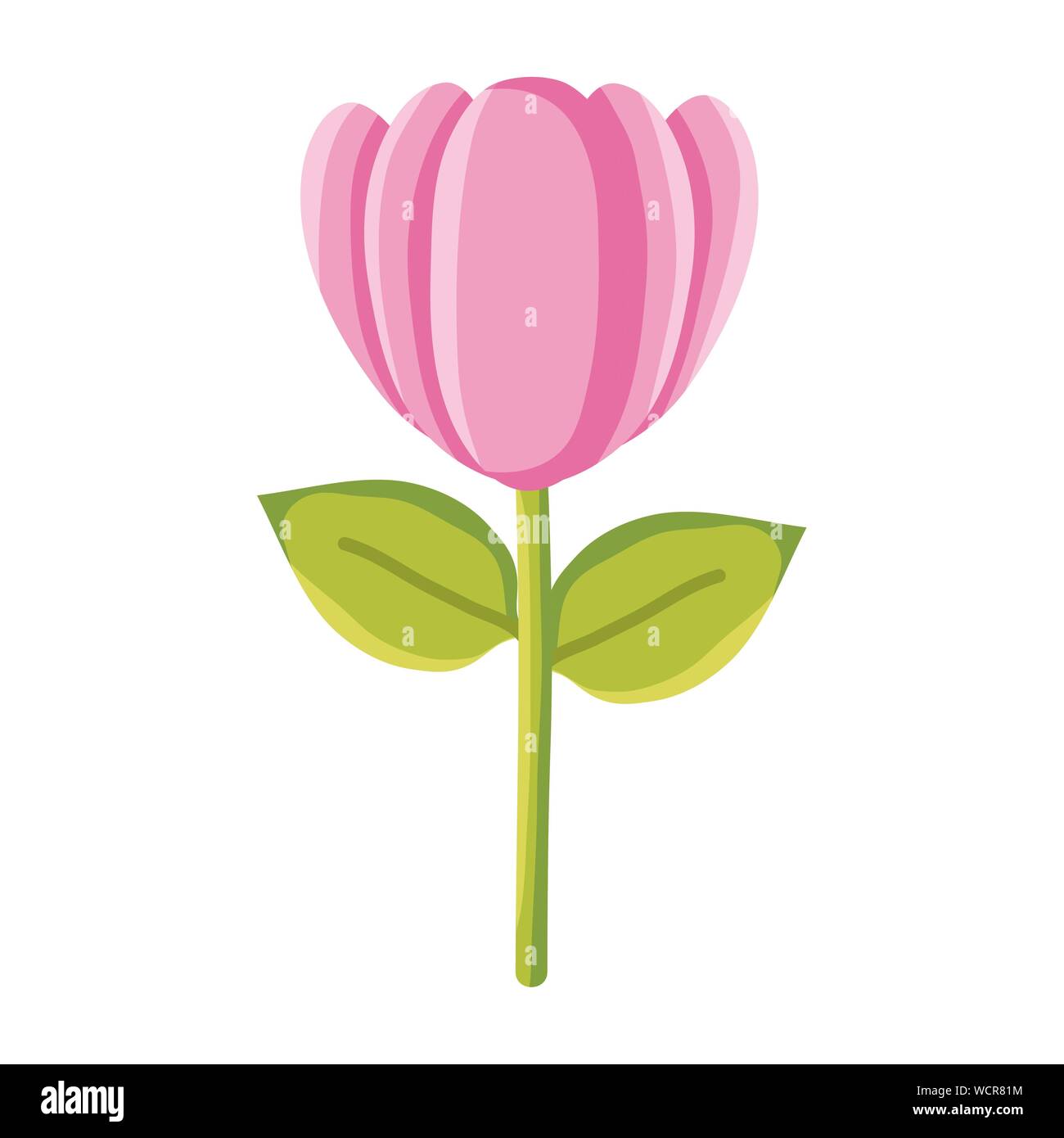 rose flower garden nature icon vector illustration design Stock Vector ...