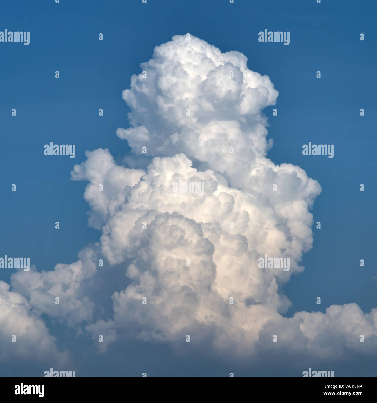 My Image 22