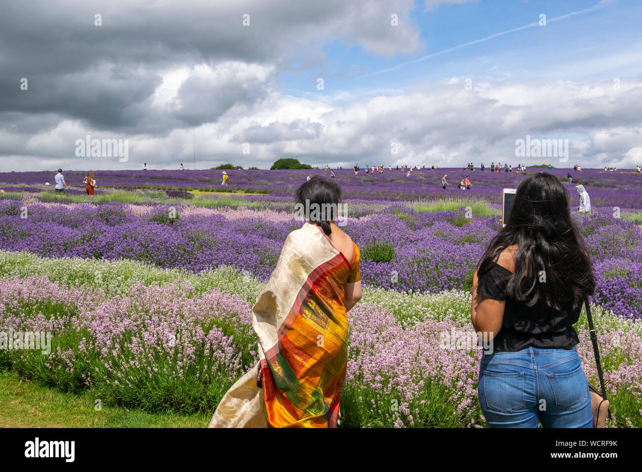 Tourists visiting the lavender fields at Snowshill in the Cotswolds, Worcestershire, England, UK Stock Photo