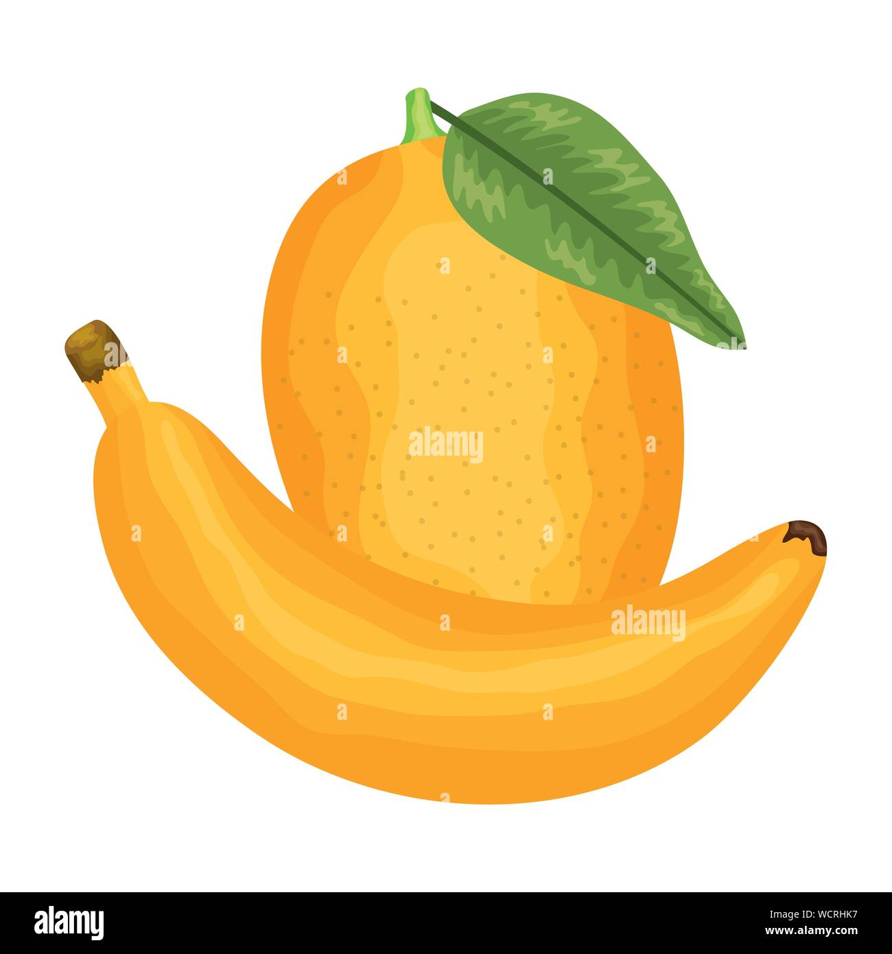 https://c8.alamy.com/comp/WCRHK7/fresh-banana-and-mango-fruits-vector-illustration-design-WCRHK7.jpg