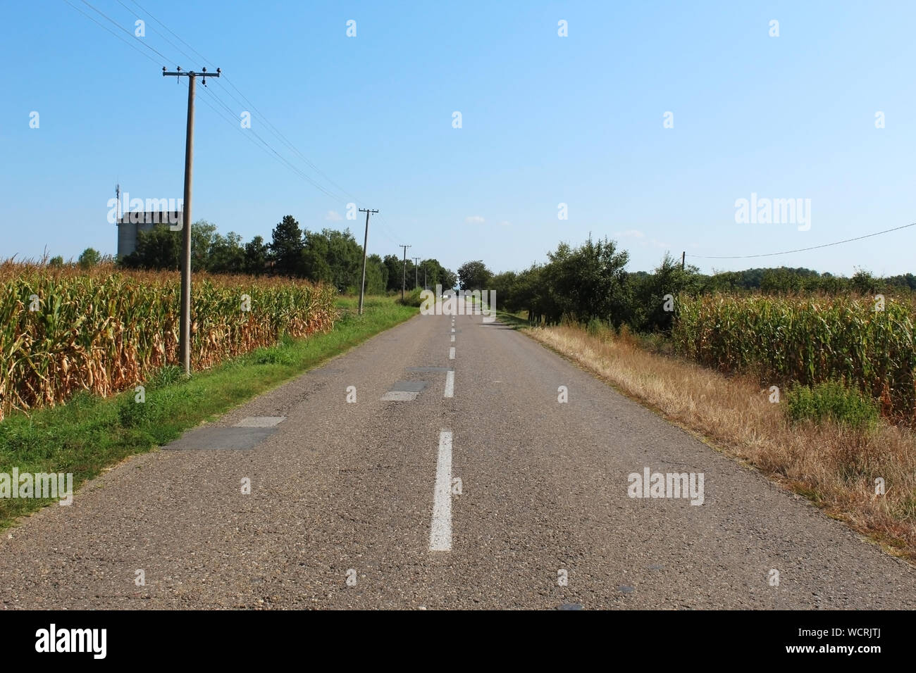 Rural straight paved road between green meadows and trees in summer (central perspective) Stock Photo